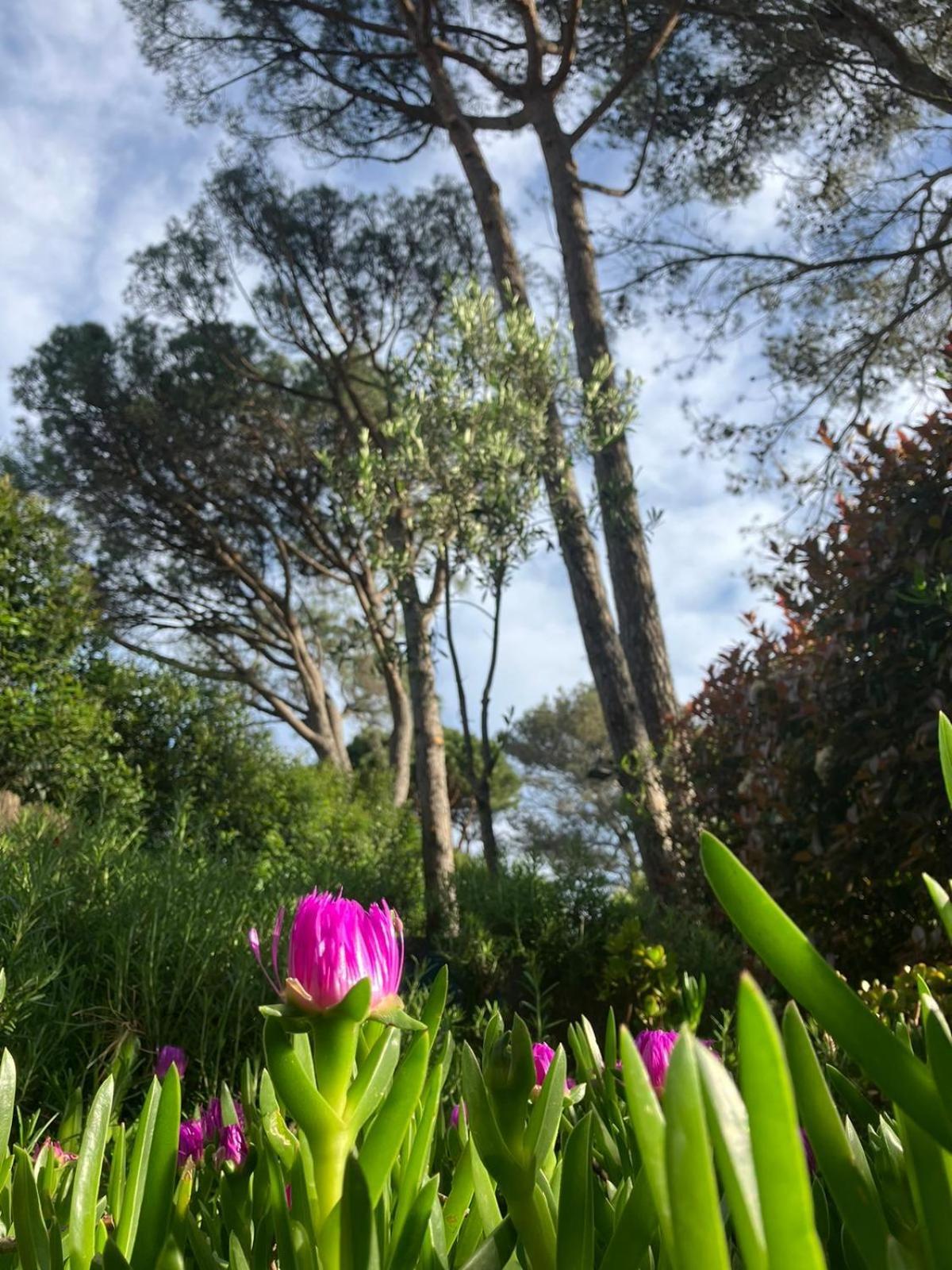 Azuromarin Villa Gassin Buitenkant foto
